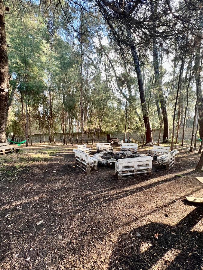Mini-hotel FOREST CLUB Pizunda Esterno foto