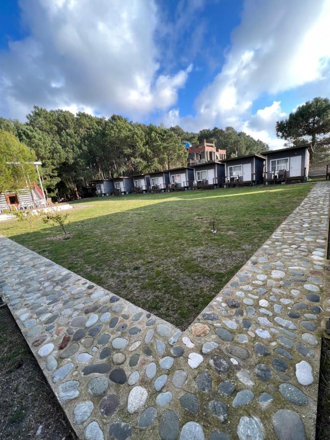 Mini-hotel FOREST CLUB Pizunda Esterno foto