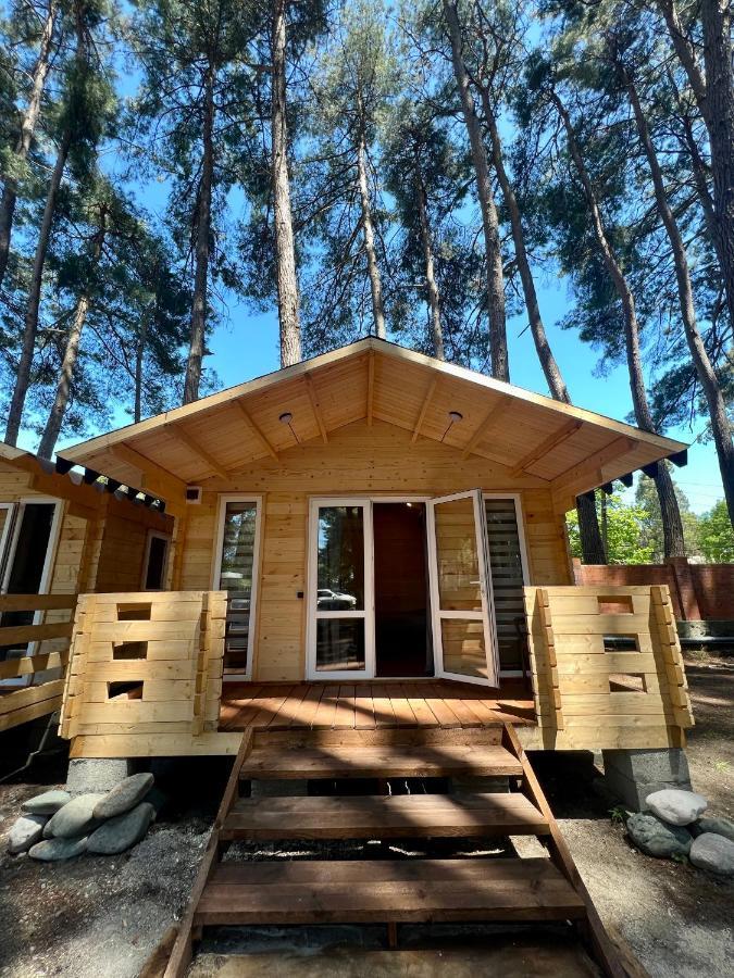 Mini-hotel FOREST CLUB Pizunda Esterno foto
